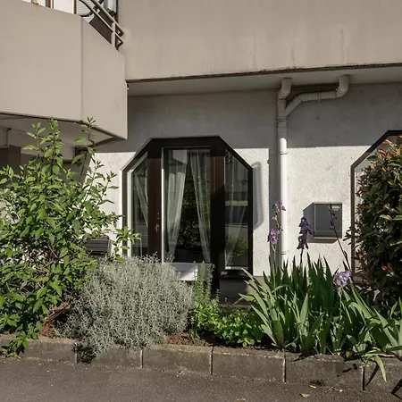 Xxl Highdesign 10 Pers Zentral Naehe Heidelberg Und Mannheim